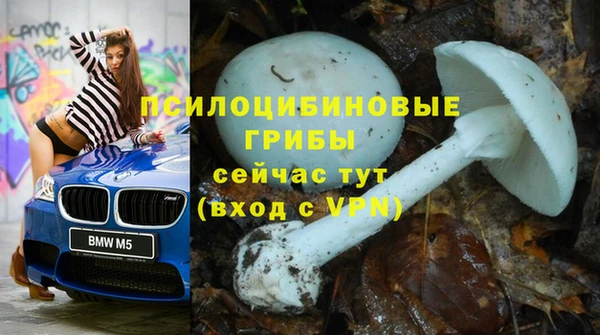 apvp Волоколамск