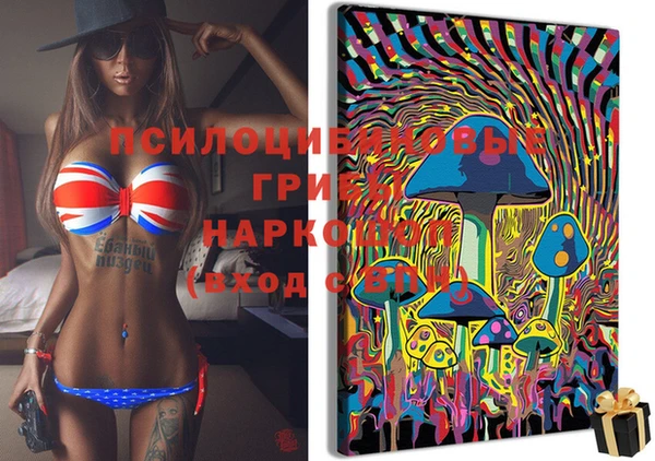 бошки Верхний Тагил