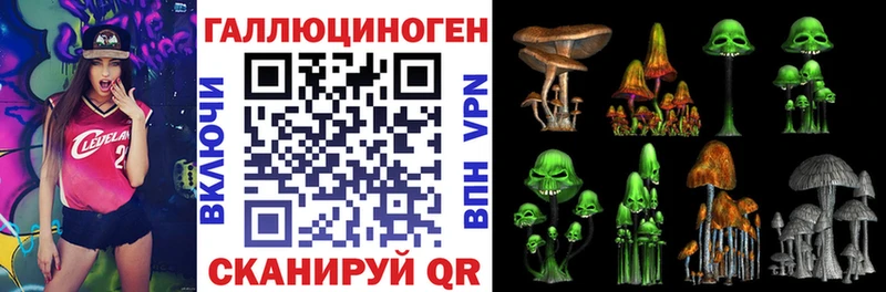 Галлюциногенные грибы Psilocybe  Гусиноозёрск 